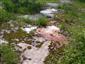 užovka hladká (29.6.2014)